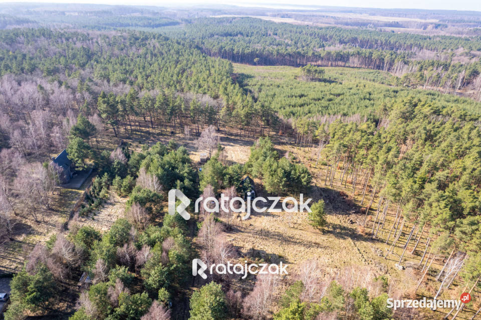 Grunt na sprzedaż 9751m2 Sasino Stara Cegielnia