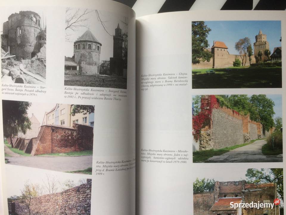 3603 60 Lat Polskich Służb Konserwatorskich Na