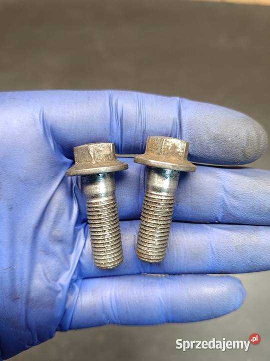 Śruba śruby mocowanie zacisk hamulcowy przód Gołaczewy