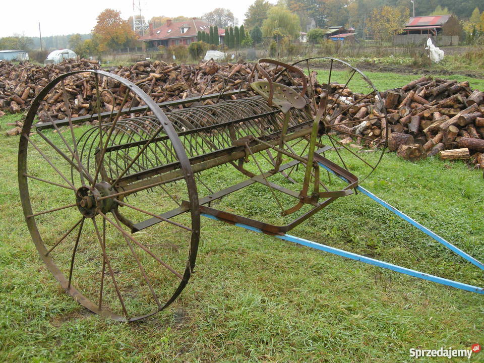 Zabytek dekoracja ozdoba ogrodowa zgrabiarka Danków sprzedam