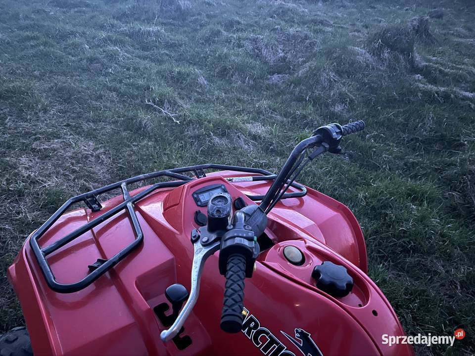 Arctic cat 400 4x4 500
