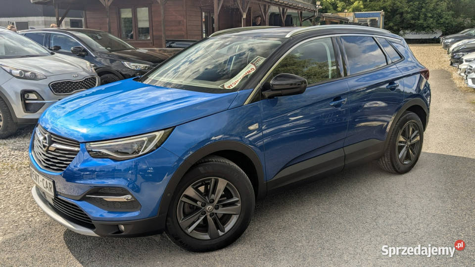 Opel Grandland X komputer pokładowy Częstochowa