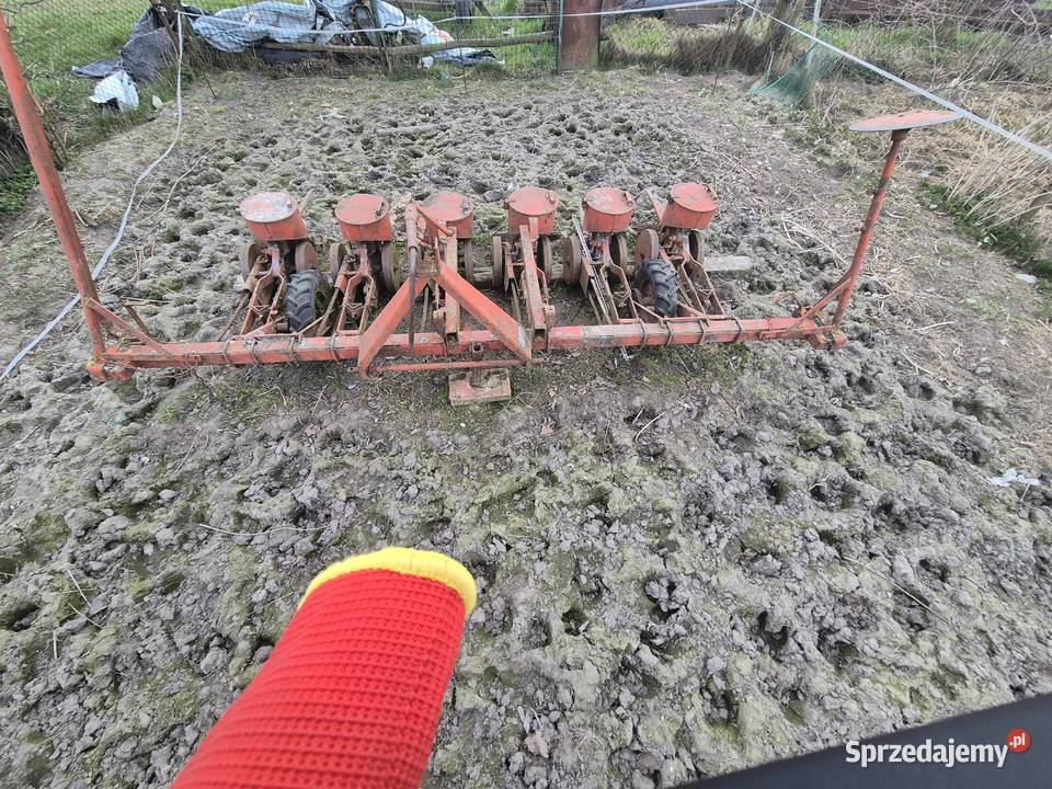 Siewnik gama 5 Opalenica sprzedam