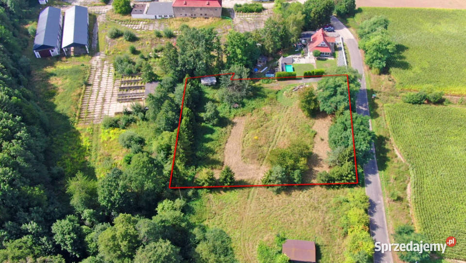 Działka 3701 m w Lwowianach WZ duży potencjał Sprzedaż Lwowiany