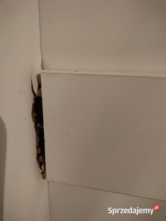 Sprzedam półkotapczan pionowy biały mat