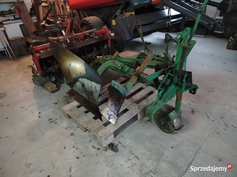 Pług regent unia Kazimierza Wielka