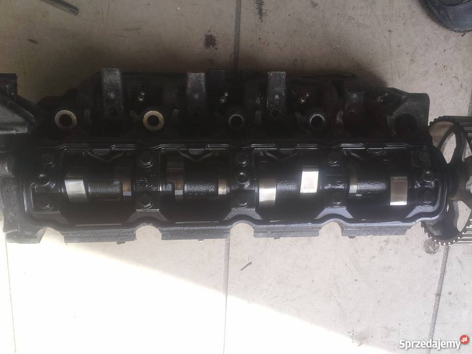 NISSAN PRIMERA p12 19dci głowica zachodniopomorskie Dębno