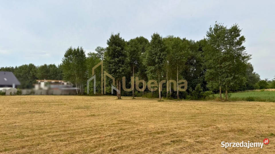 Działka z wydanymi WZ 1250 m2 polna Marszewo