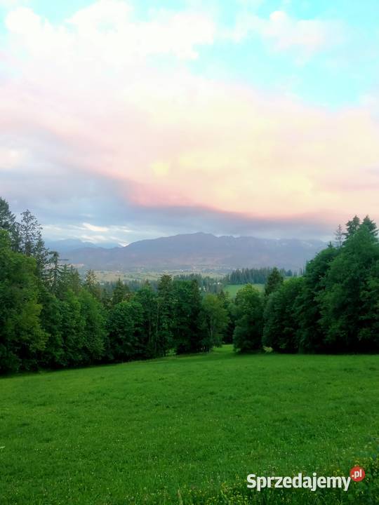ZAKOPANE GLAMPINGPiękna działka widokowa u stóp Sprzedaż Suche sprzedam