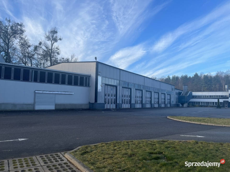 Hala produkcyjna magazynowa 1012 mkw Straszyn 1012m2 sprzedam