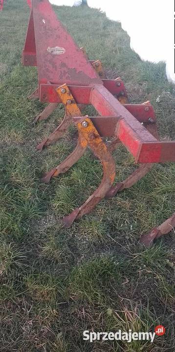 Gruber głębosz bezorkowiec 11 łap Jabłonowo Pomorskie