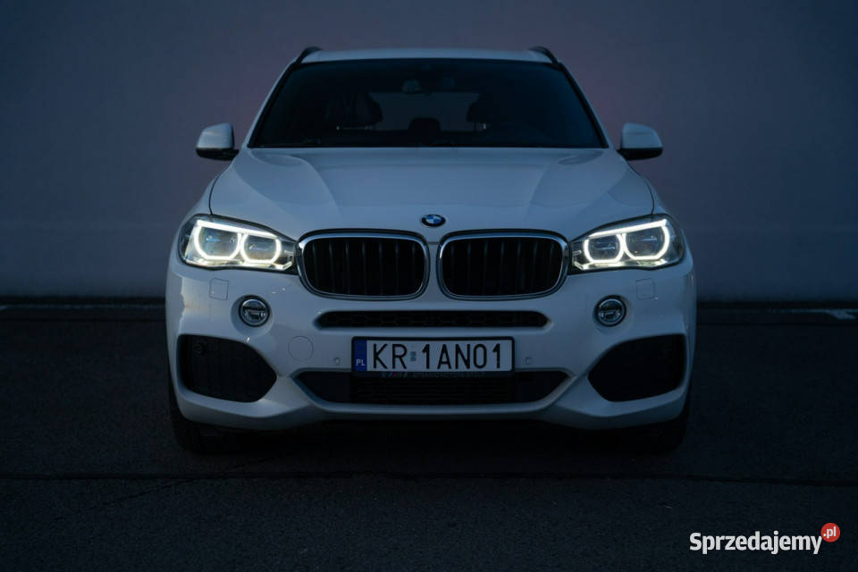 BMW X5 Harman Kardon Komfortowe fotele pełny VAT X5 Kraków