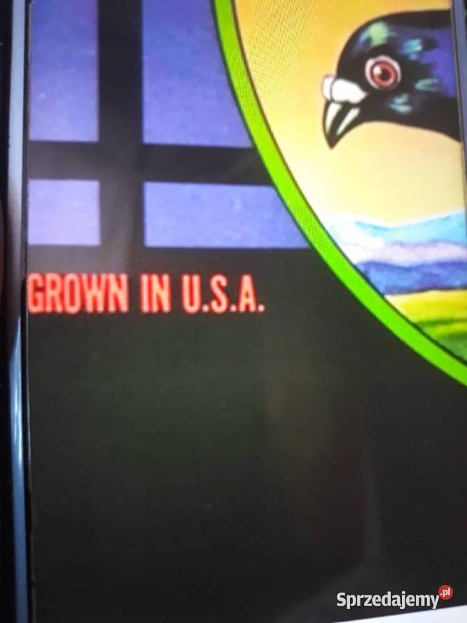 Archiwum psych hard rocka HOMER Grown in USA płyta winylowa Płyty i kasety Rzeszów