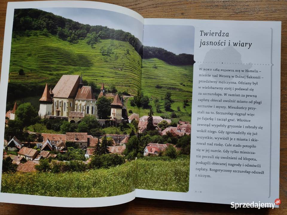 Rumunia Ł Galusek M Jurecki Bosz twarda małopolskie Kraków