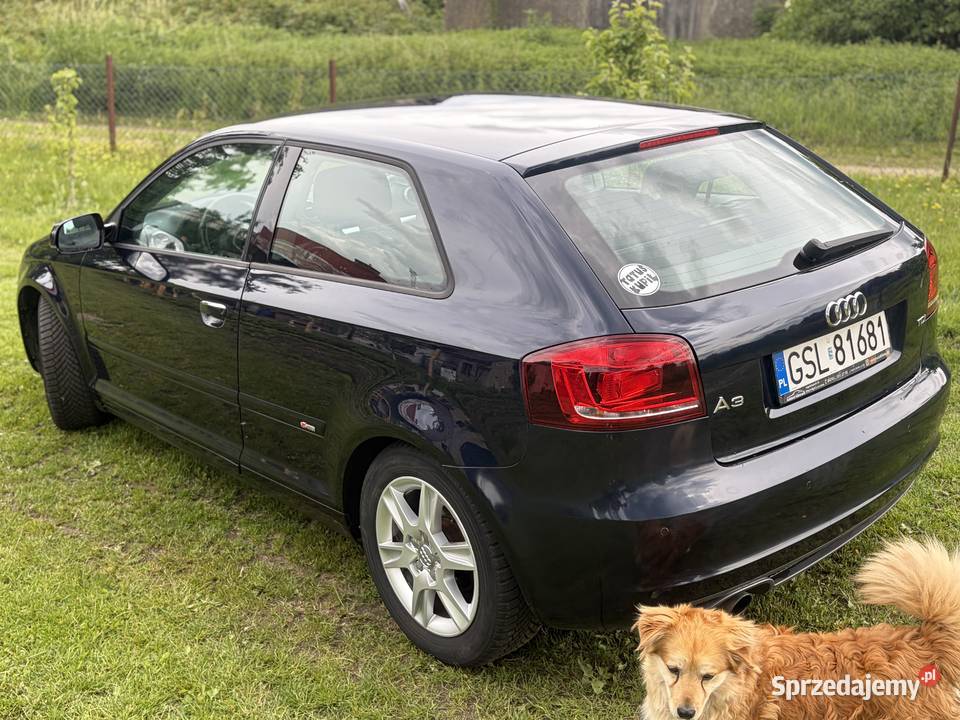 Audi A3 20 TDI Lift sline 2010 6 biegow Łosino sprzedam