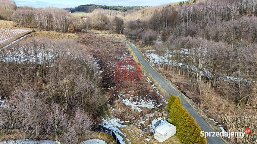 sprzedaży działki Nawsie 700m2 37zł/m2 podkarpackie