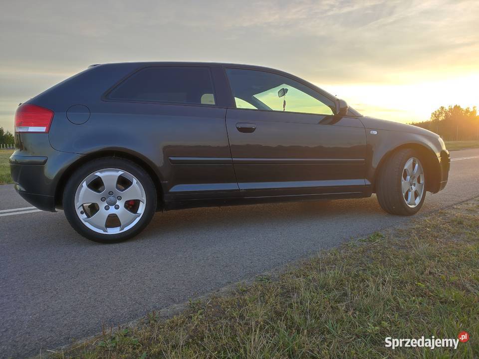 Audi A3 8p 16 Kurów