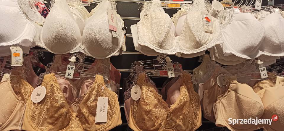 Sprzedamy hurtowo markową bieliznę Szczecin