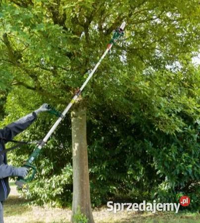 piła łańcuchowa Parkside Akumulatorowa Rydułtowy