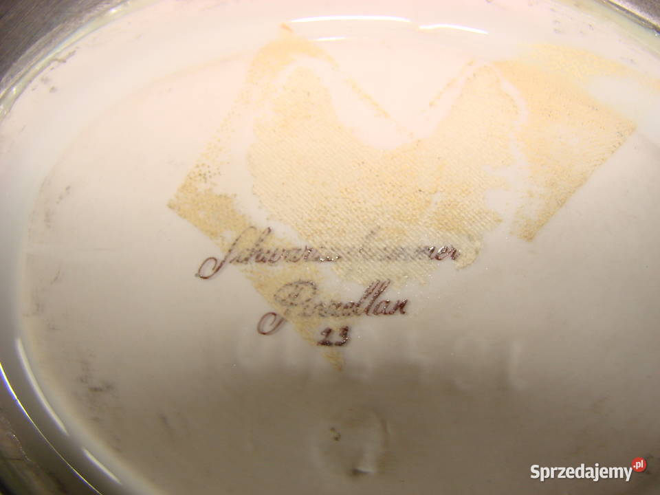 Schwarzenhammer Porzellan obrazki z ptakami Pruszcz Gdański