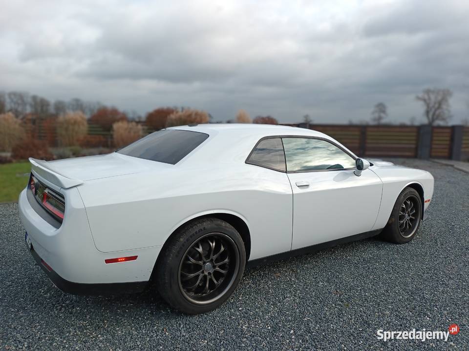 Dodge Challenger SXT 36 2019 Domaniów