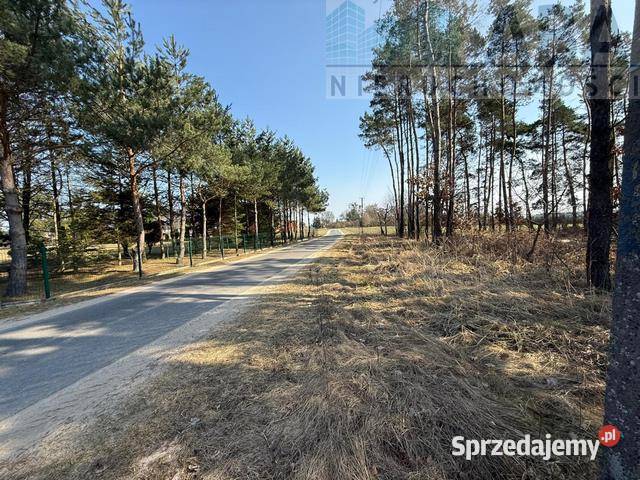 Na sprzedaż działka Niezgoda gm Słupca rolna wielkopolskie