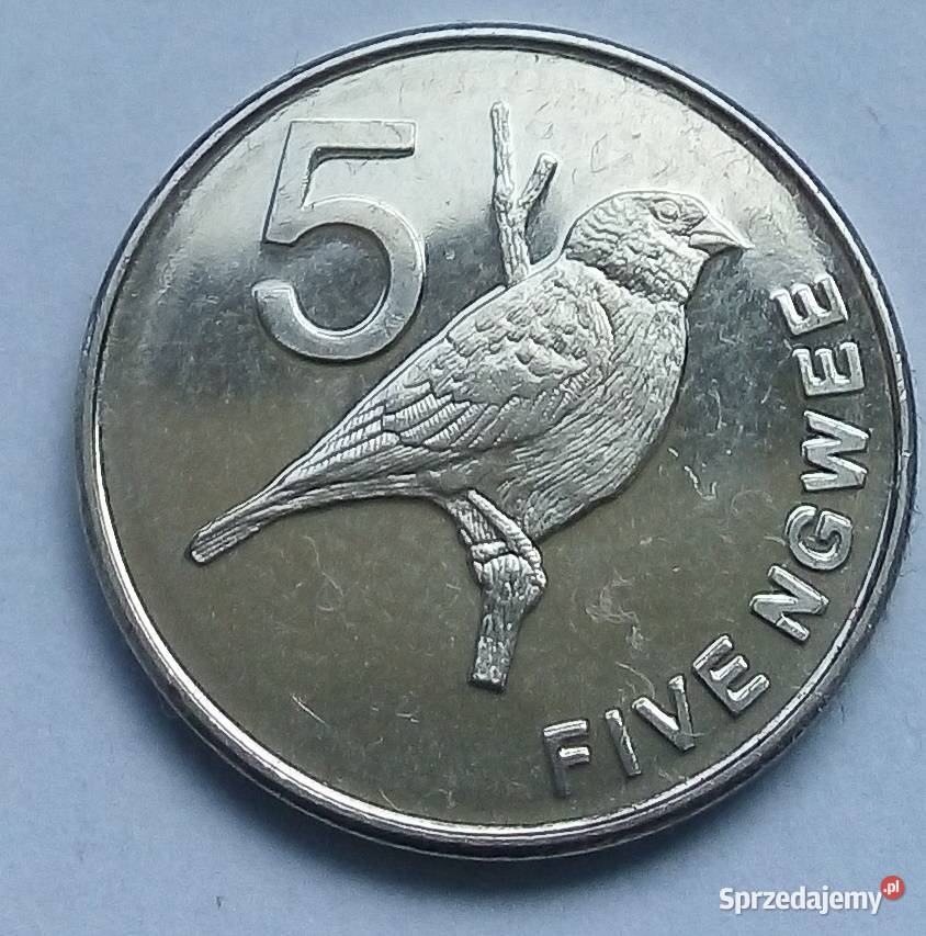 ZAMBIA5 NGWEE2012 r PTAKŁADNA1 Legionowo