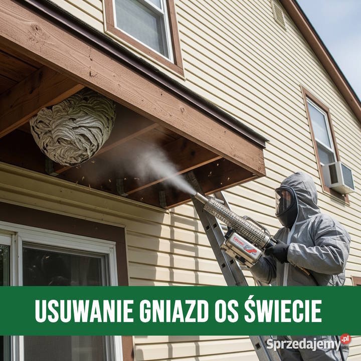 Zwalczanie Os Świecie Usuwanie Gniazd