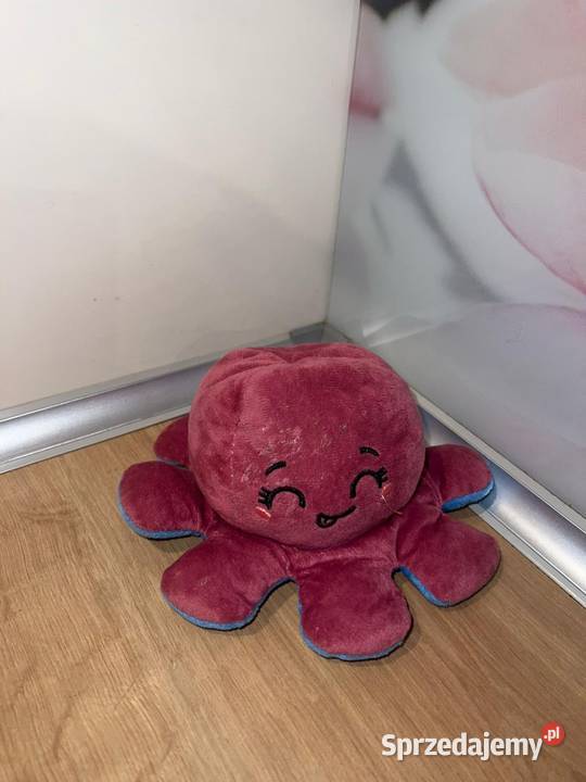 Urocza ośmiorniczka z zmiennym humorem