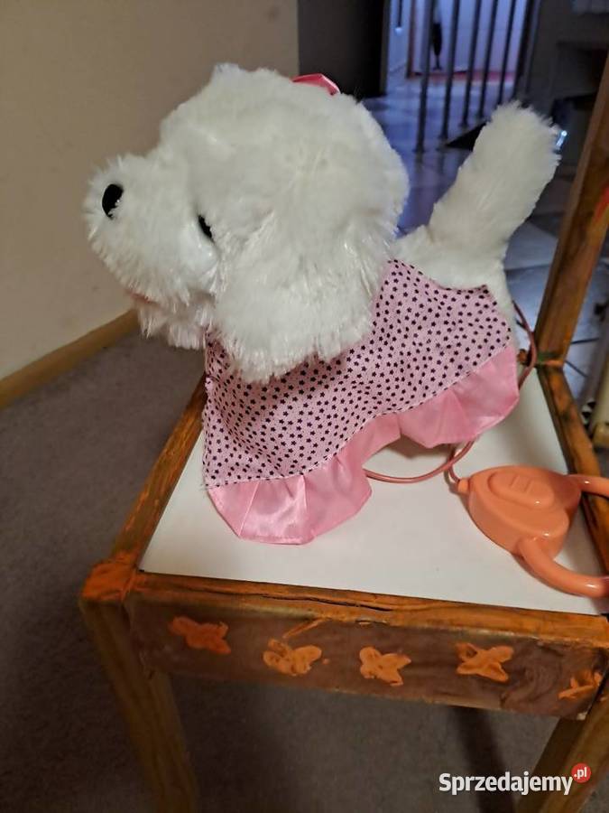 Piesek na baterie Sosnowiec