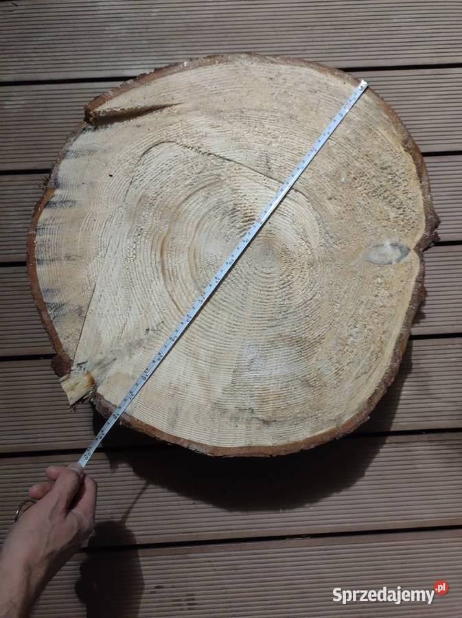 Jodła zwyczajna plaster Świeży do obróbki Zakopane