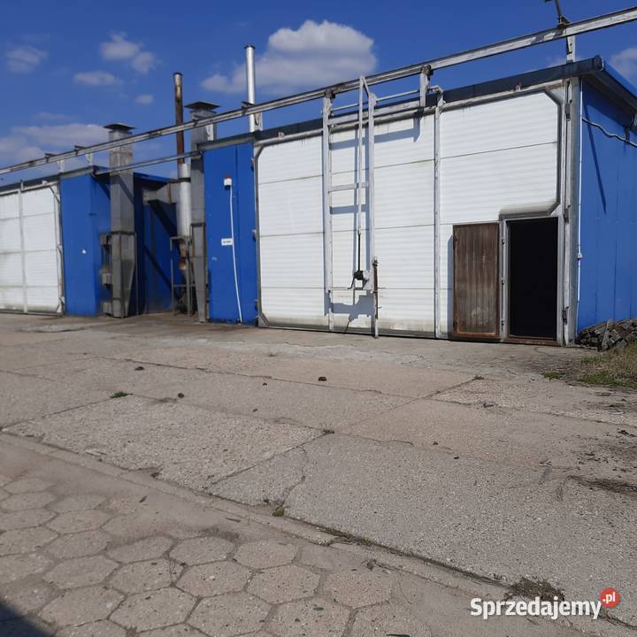 Suszarnia komorowa do drzewa sprzedam