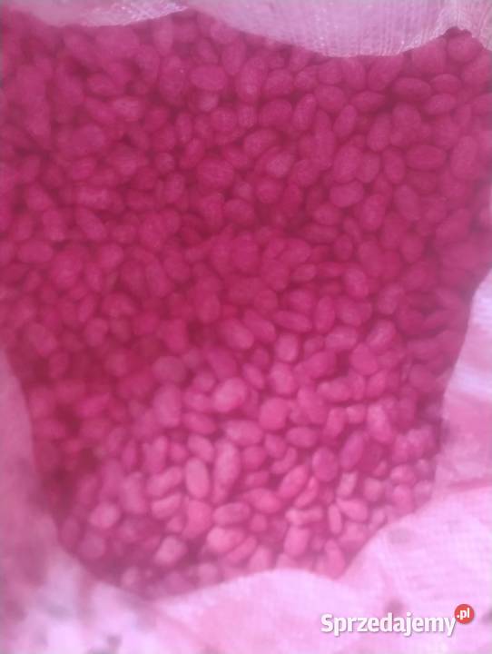 Sprzedam fasolę zabejcowana