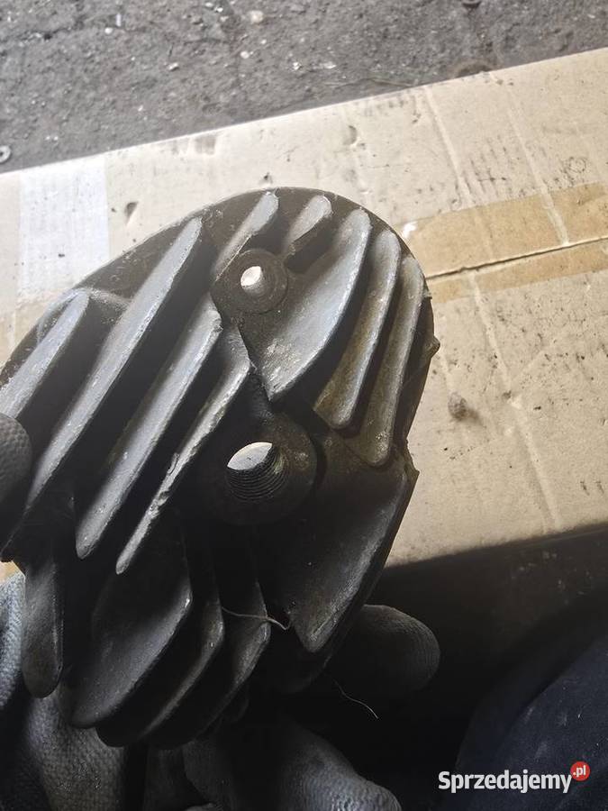 Glowica komar Gorzów Wielkopolski