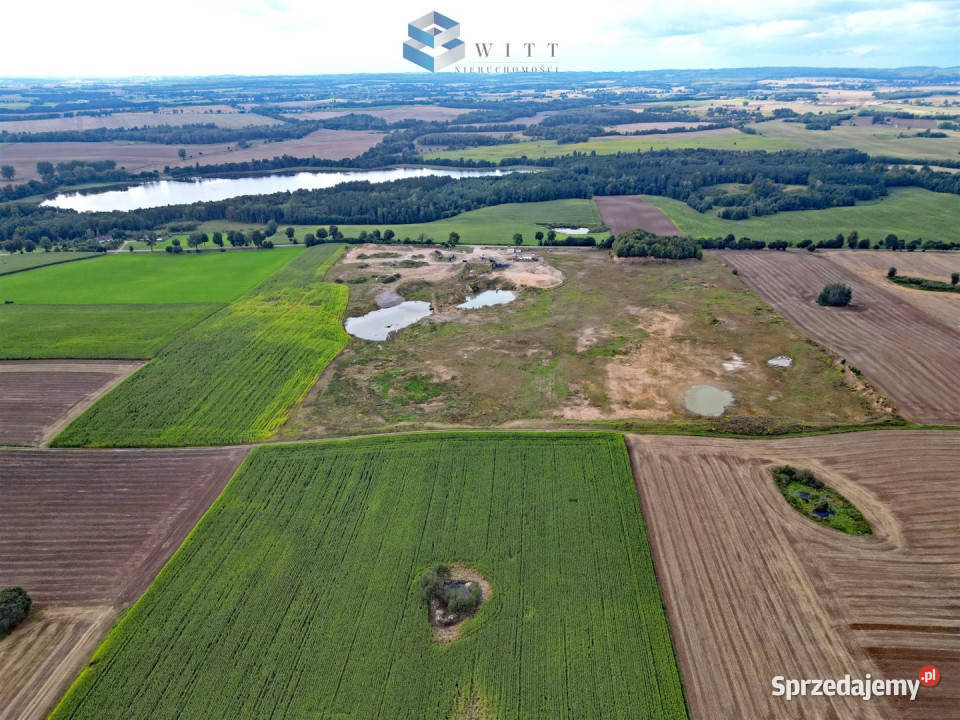 Grunt 5000m2 Samin Nieruchomości