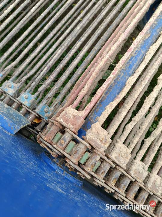 Kopaczka elewatorowa małopolskie