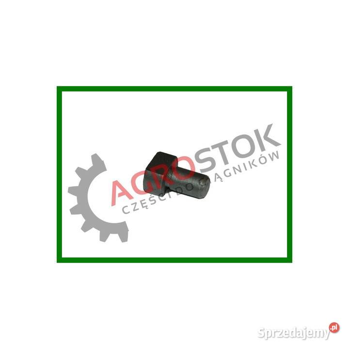 Kamień widełek t25 Parczew