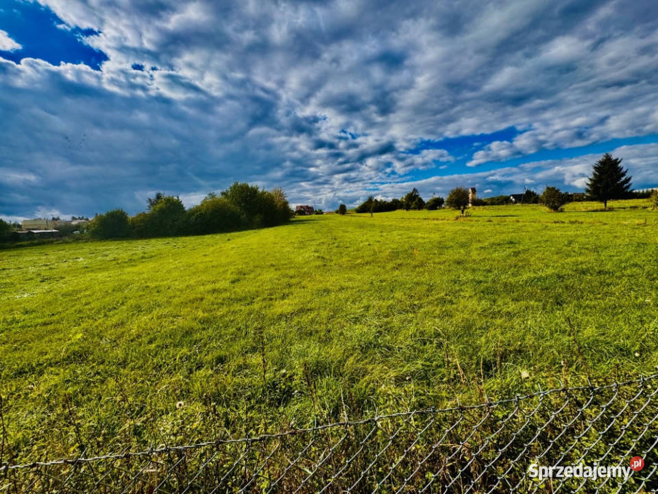 Działka z pozwoleniem na budowę media działce Sprzedaż Drygały