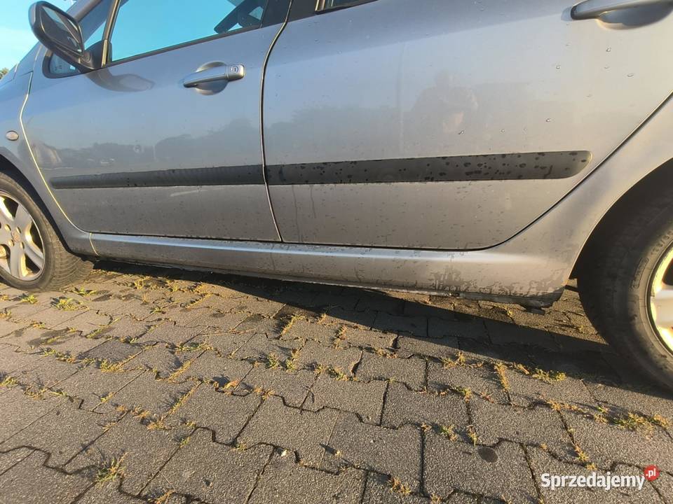 Peugeot 307 16 Benzyna 2001 177 000 dolnośląskie Legnica