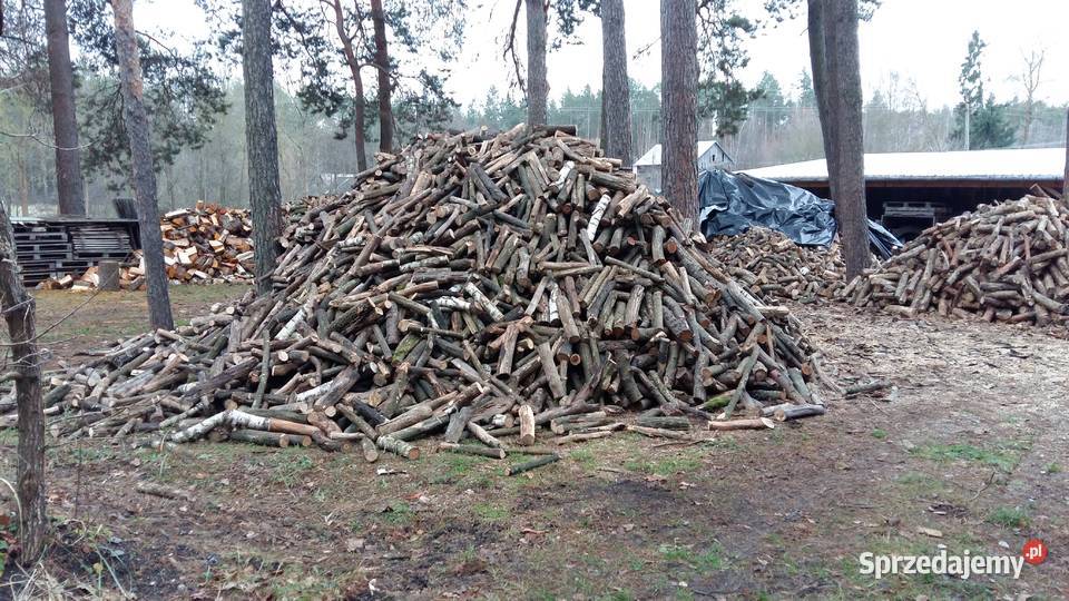 Drewno drzewo opałowe sosna dąb liściaste mazowieckie Łosice