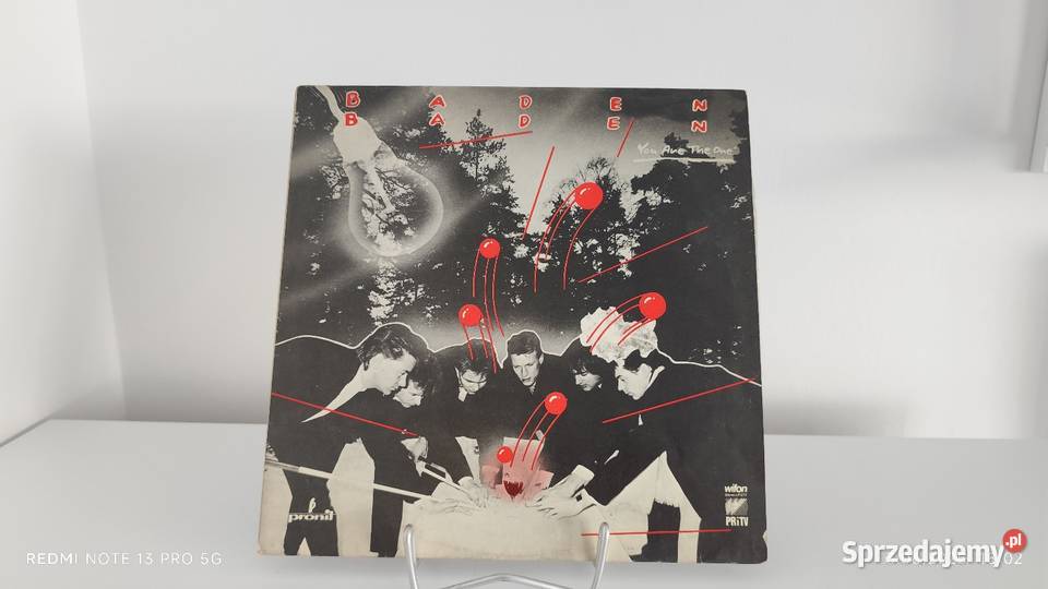 Płyty Winylowe Duża ilość dolnośląskie