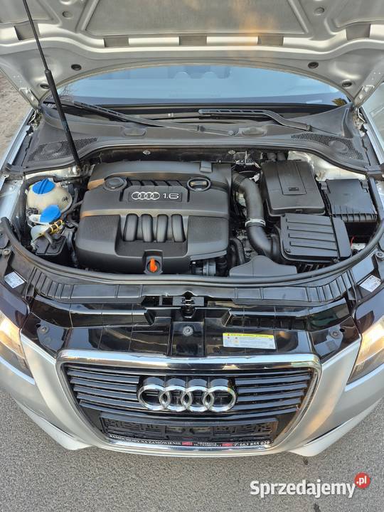 Audi A3 8P 16 Automat 16 benz Bezwypadkowa CD Stargard