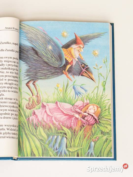 Zazulka Skarb z Poletka Bobu i Kwiat Groszku Książki dla dzieci Kraków