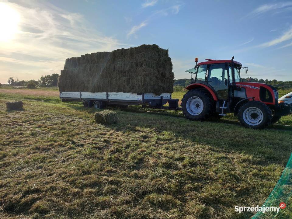 Siano łąkowe kostka Dąbrówka Nowa sprzedam