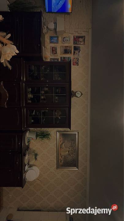 Sprzedam segment i krzesła Krzesła ogrodowe Kartuzy