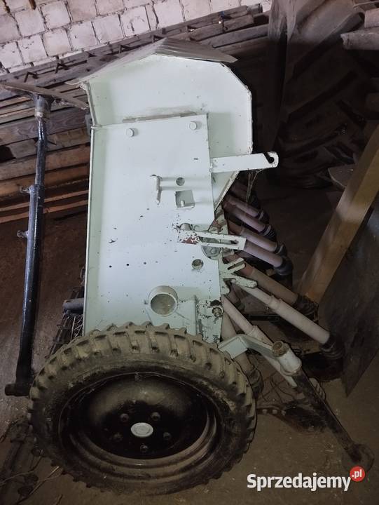 Siewnik poznaniak Rokietnica