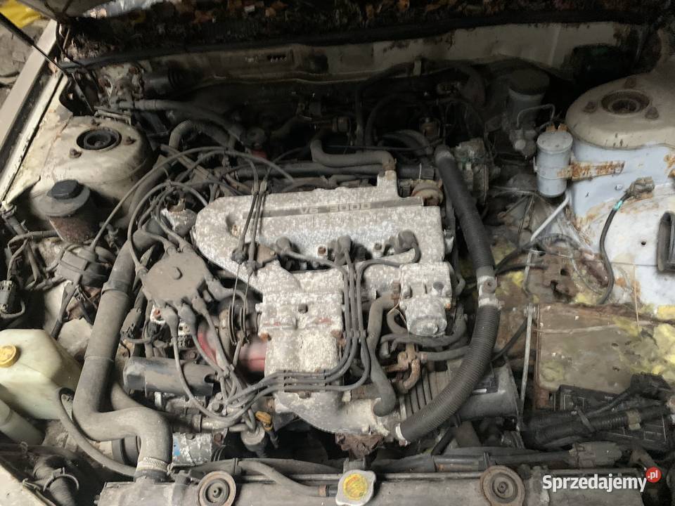 Nissan maxima na części 3000cm3 Zielona Góra