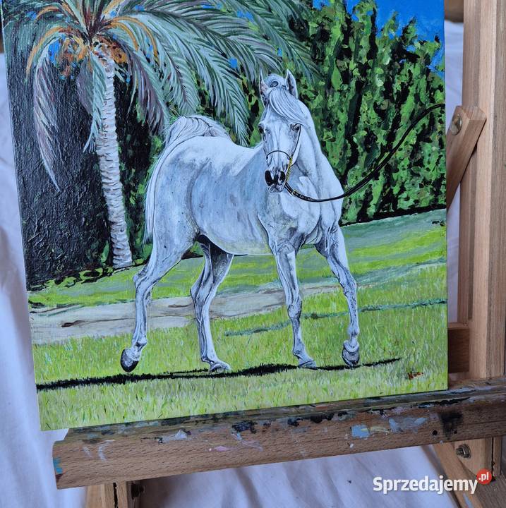 Obraz koń arabski araby konie stajnia klacz Brzesko