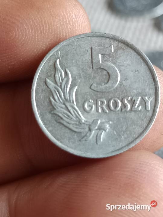 Sprzedam groszy 1949 jjjj Chełm