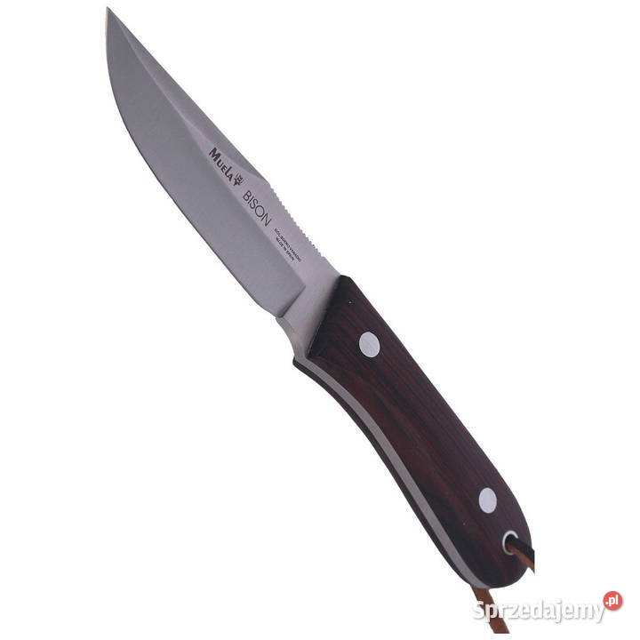 Nóż Muela Bison9NL Palisander Wood Satin mazowieckie